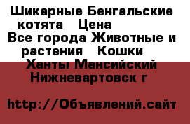 Шикарные Бенгальские котята › Цена ­ 25 000 - Все города Животные и растения » Кошки   . Ханты-Мансийский,Нижневартовск г.